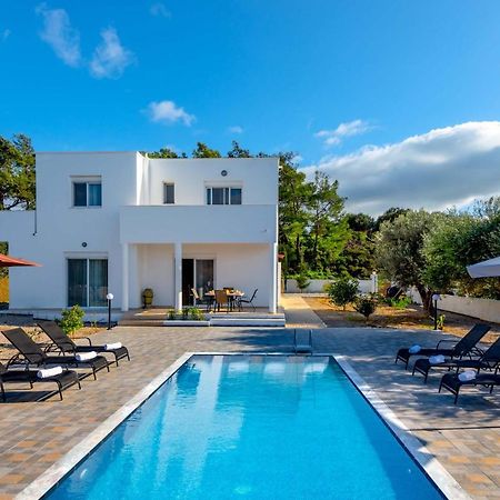 Vasilis Villa Fanes  Ngoại thất bức ảnh