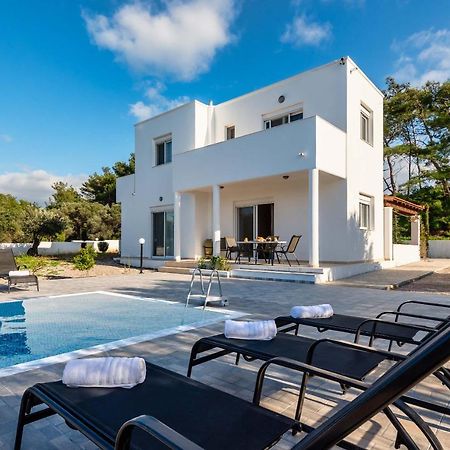 Vasilis Villa Fanes  Ngoại thất bức ảnh